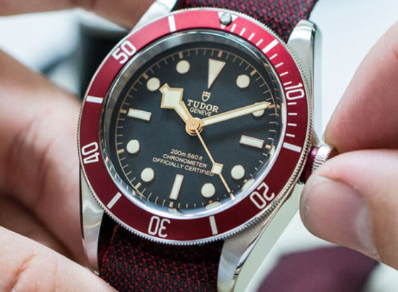 帝舵（Tudor）手表系列对遗产黑海湾的测试